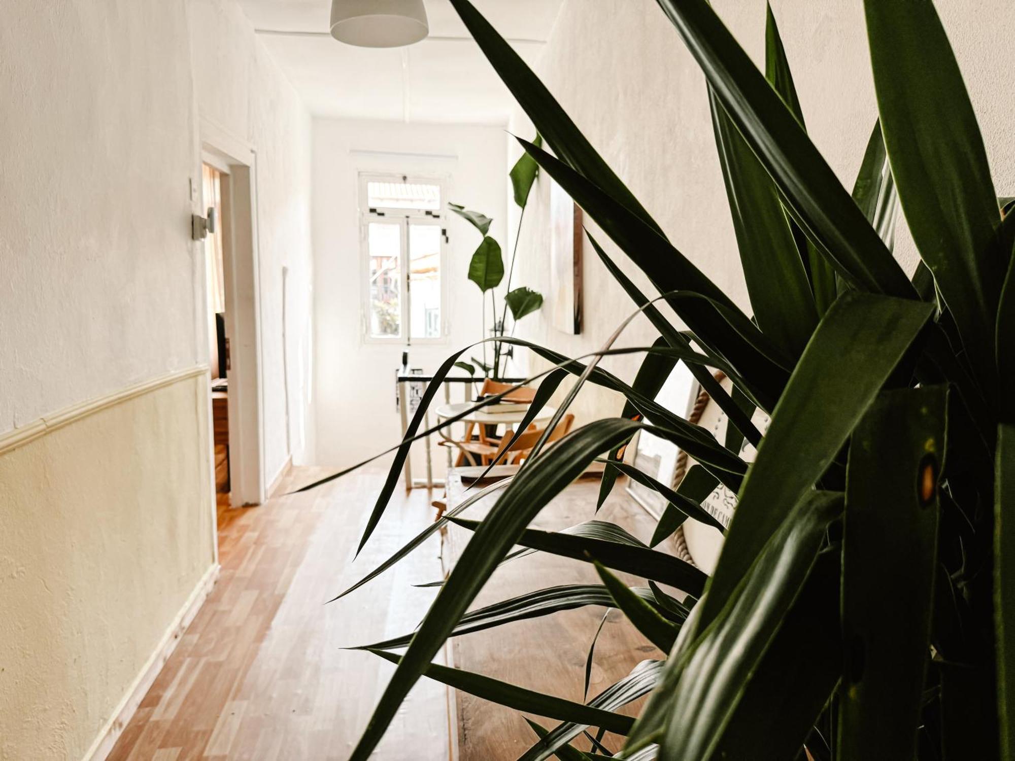 Traditional House Old Town Xanthi - Menohomes 3 Bagian luar foto